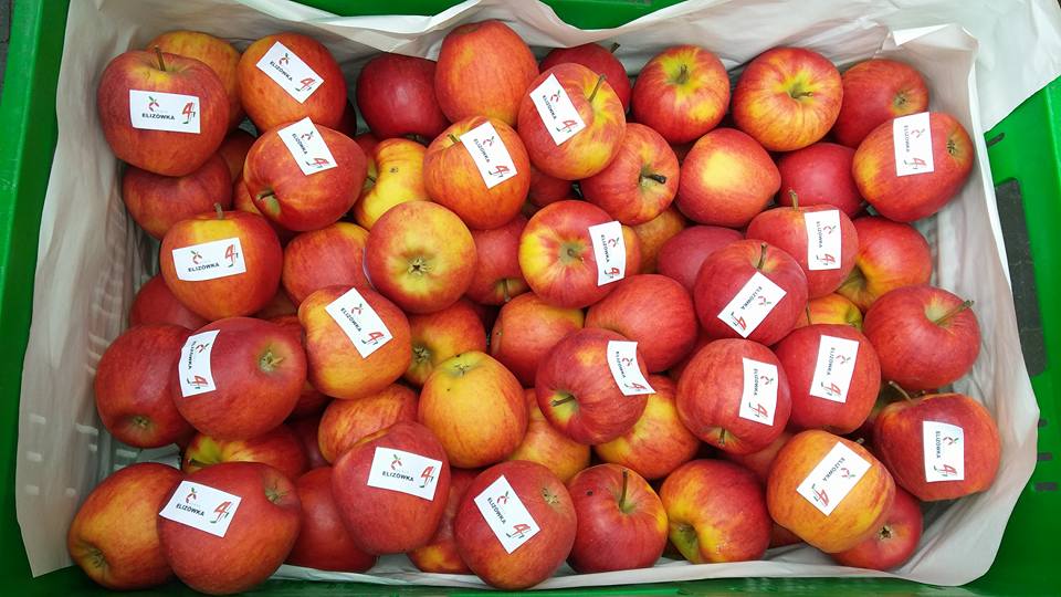 Hurtownia warzyw i owoców Elizówka to miejsce, w którym znajdziesz najlepszej jakości produkty