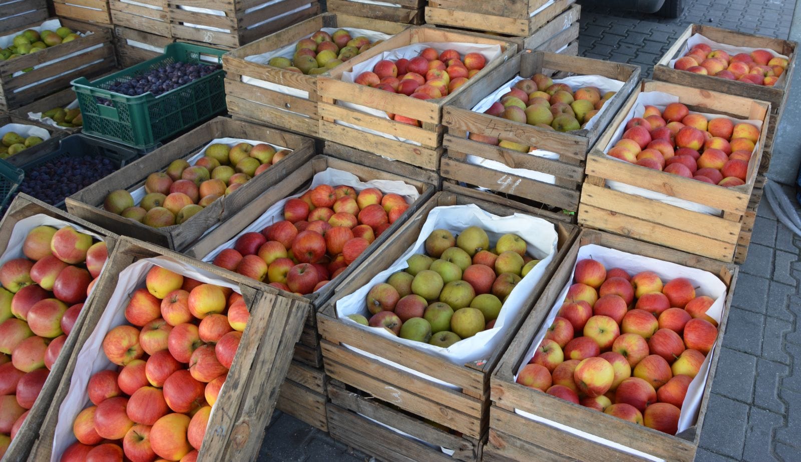 Elizówka to giełda owoców i warzyw, na której dominuje świeżość i jakość