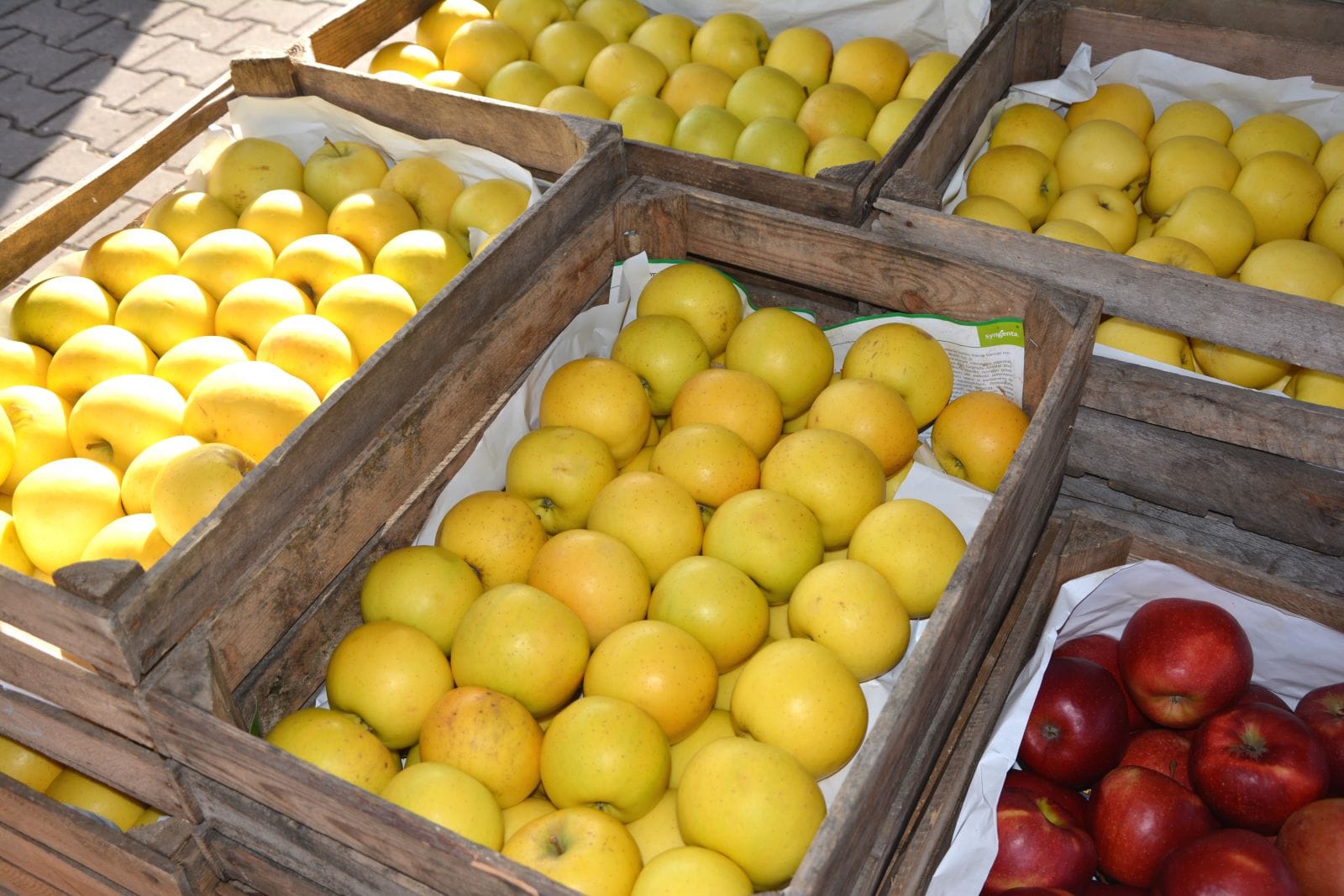 Dlaczego warto korzystać z giełdy owoców i warzyw?