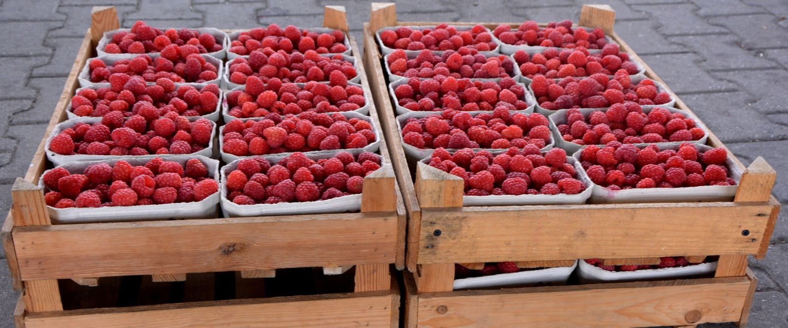 Dlaczego warto korzystać z giełdy owoców i warzyw?