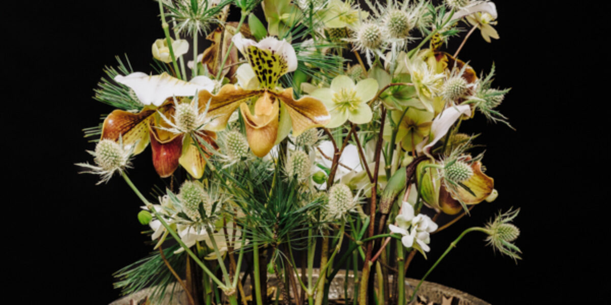 Wyjątkowa niedziela na Rynku Elizówka