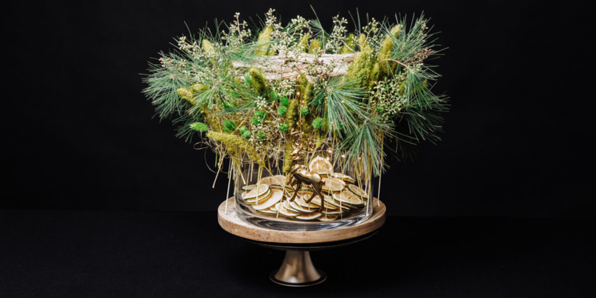 Wyjątkowa niedziela na Rynku Elizówka