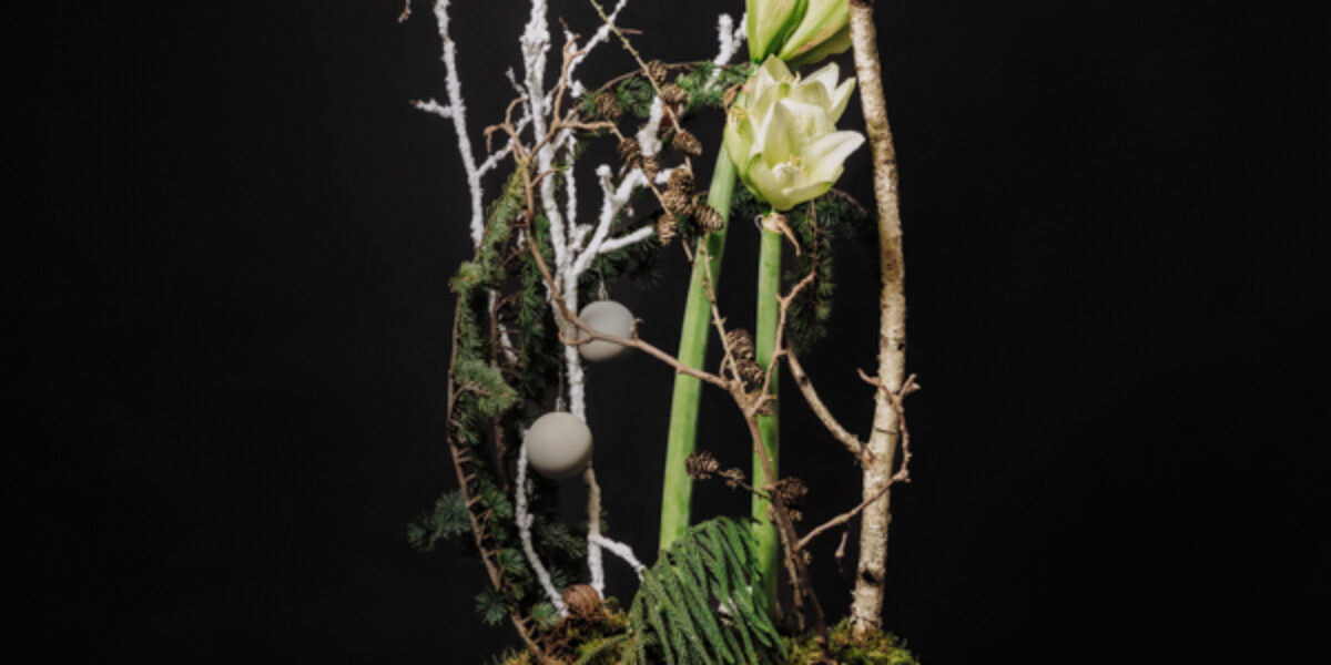 Wyjątkowa niedziela na Rynku Elizówka