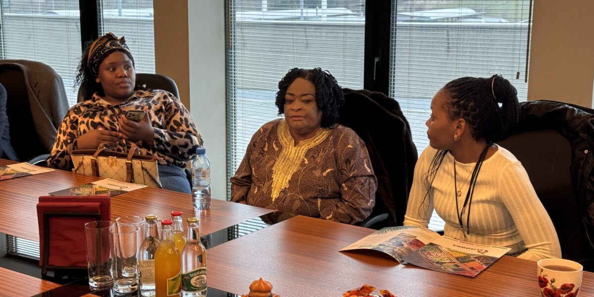 Wizyta studyjna delegacji z&nbsp;Demokratycznej Republiki Konga na&nbsp;Rynku Elizówka