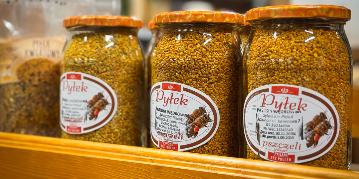 Światowy Dzień Pszczoły