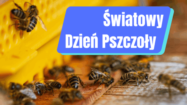 Światowy Dzień Pszczoły